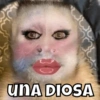 UNA DIOSA