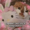 cagaste:) no t voy a
soltar nunca
aregtals raw