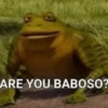 ARE YOU BABOSO?