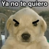 Ya no te quiero