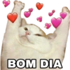 PARA UMA CONVERSA BÁSICA 14