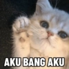 AKU BANG AKU