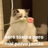 seré tóxica pero
mal polvo jamás