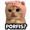 PORFIS?