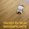 TALVEZ EU SEJA
INSIGNIFICANTE