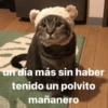 un día más sin haber
tenido un polvito
mañanero