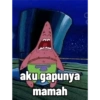 aku gapunya mamah