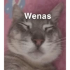 Wenas