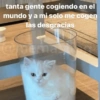 tanta gente cogiendo en el
mundo y a mi solo me cogen
las desgracias
@memasi