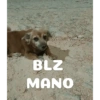 BLZ
ΜΑΝΟ