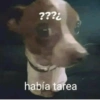 ???¿
había tarea