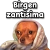 Birgen zantisima