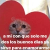 @memasting
a mi con que solo me
des los buenos días ya
sirve para enamorarme