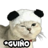 *GUIÑO