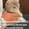 @memasting
quisiera acumular dinero
de la misma forma que
acumulo estrés