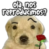 ola, nos reproducimos?