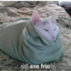 ase frio