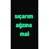 Türkçe 14