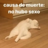 causa de muerte:
no hubo sexo