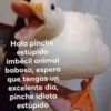 Hola pinche
estúpido
imbécil animal
baboso, espero
que tengas un
excelente día,
pinche idiota
estúpido