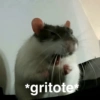 *gritote*