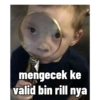 mengecek ke
valid bin rill nya