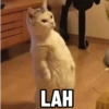 LAH