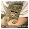 UDAH PAP BANYAK miladea TAPI GAK DIPOST SAMA AYANG
