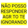 NÃO POSSO
RESPONDER
AGR TO TE
IGNORANDO