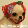 Me lleva la verdura