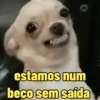 estamos num beco sem saída