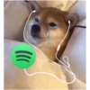Doge 😛 6