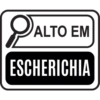 PAL ESCHERICHIA ALTO EM