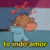 to indo amor