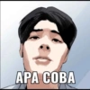 APA СОВА