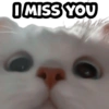 I MISS YOU