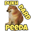 DUKH DARD PEEDA