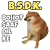 B.S.D.K. BOHOT SAAF DIL KE