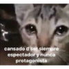cansado d ser siempre
espectador y nunca
protagonista