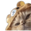 +