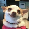 Reaction pics 9