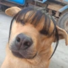 Memes without context 16