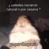 ¿ ustedes nacieron
natural o por cesaría?
yo por desgracia