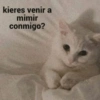 kieres venir a
mimir
conmigo?
amanexit