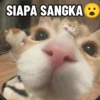 SIAPA SANGKA: