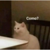 Como?