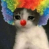 Quedé Payaso🤡 6