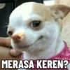 MERASA KEREN?