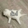 died