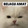 BELAGU AMAT
